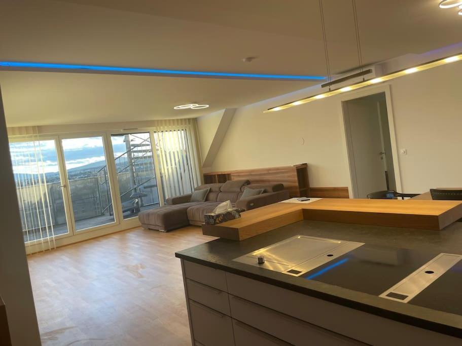 Rooftop Terrace- Panoramablick Ueber Wien Διαμέρισμα Εξωτερικό φωτογραφία